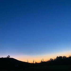 Meet your Posher, Ella